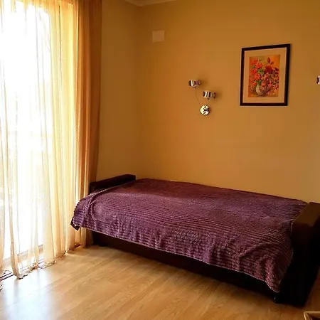 Rent Zornica 네세부르